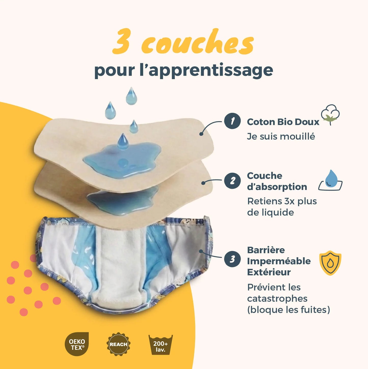 Culotte d'apprentissage