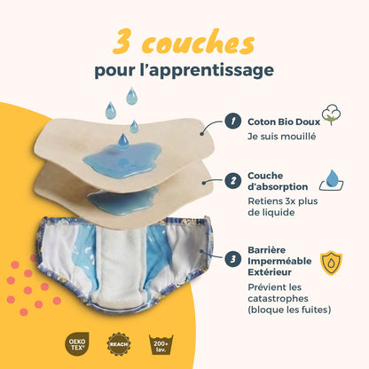 Culotte d'apprentissage