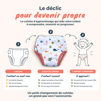 Culotte d'apprentissage